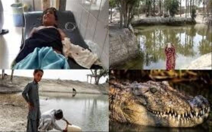 جدال نابرابر بچه ها بلوچستان با گاندو