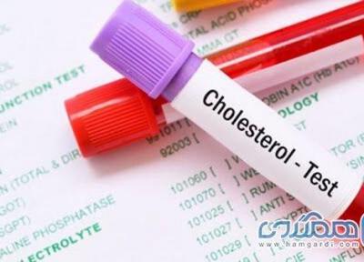 کلسترول و تری گلیسیرید چه فرقی با هم دارند؟