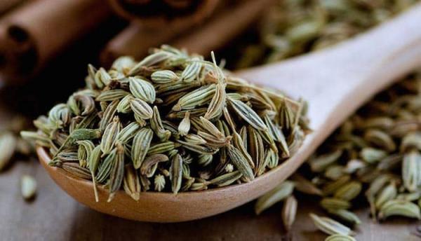 از نظر طب سنتی طبع انیسون چیست و مصلحات آن کدامند؟
