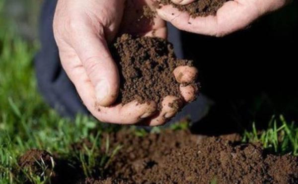 محققین یک گروه از آنتی بیوتیک های جدید را از خاک استخراج محققین یک گروه از آنتی بیوتیک های تازه را از خاک استخراج کردند